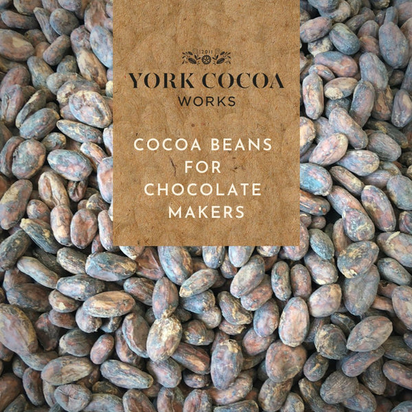 Cocoa Beans for Chocolate Makers