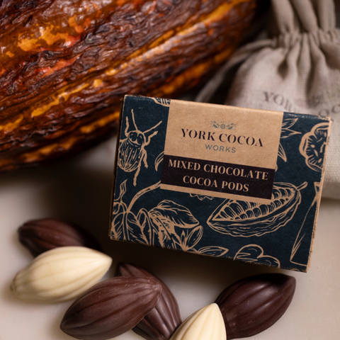 Mixed Chocolate Cocoa Pods Matchbox, 45g (Case of 25)