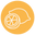 Citrus Flavour