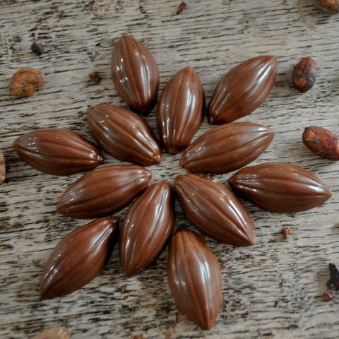 Milk Chocolate Cocoa Pods - 95g