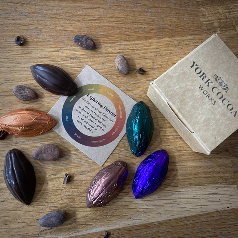 Tasting Chocolate
