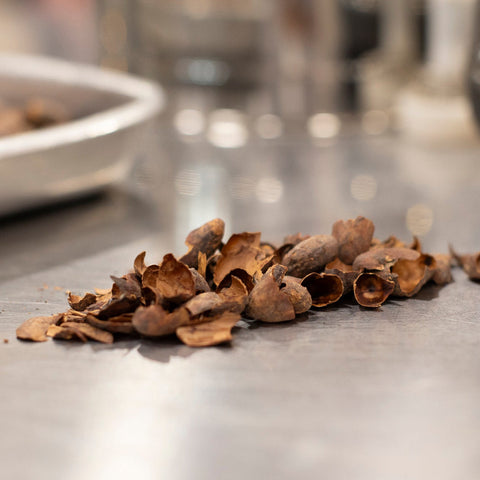 Recycling Cocoa and Regeneration