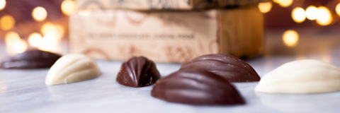 CHOCOLATE COCOA PODS