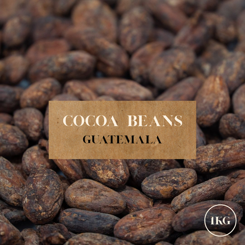 Cocoa beans with a label indicating 'Cocoa Beans Nigeria' and '1KG' on a close-up background.