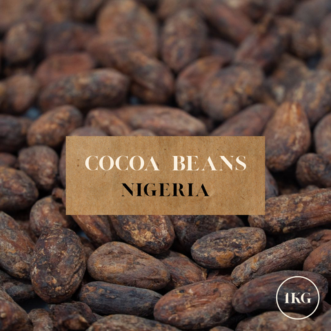 Cocoa beans with a label indicating 'Cocoa Beans Nigeria' and '1KG' on a close-up background.