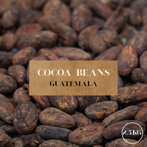 Cocoa beans with a label indicating 'Cocoa Beans Guatemala' and a weight of '2.5KG'.