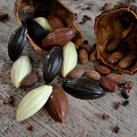 White, milk and dark chocolate cocoa pods tumbling out of a dried cocoa pod and surrounded by cocoa beans and nibs.