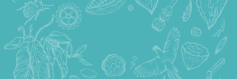 Learn, Make and Taste