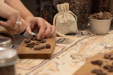 Chocolate Experiences