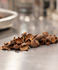Cocoa Shell on a metal surface