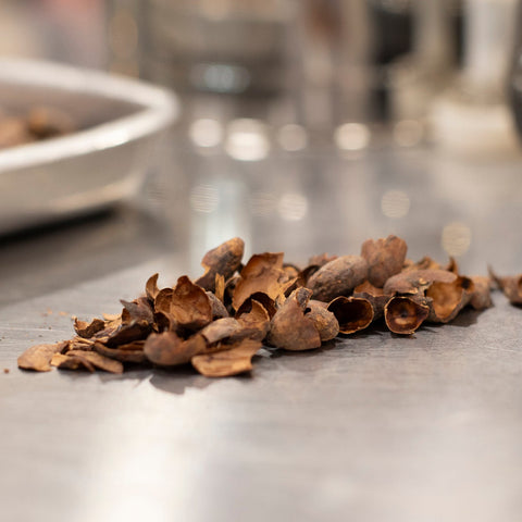 Cocoa Shell on a metal surface